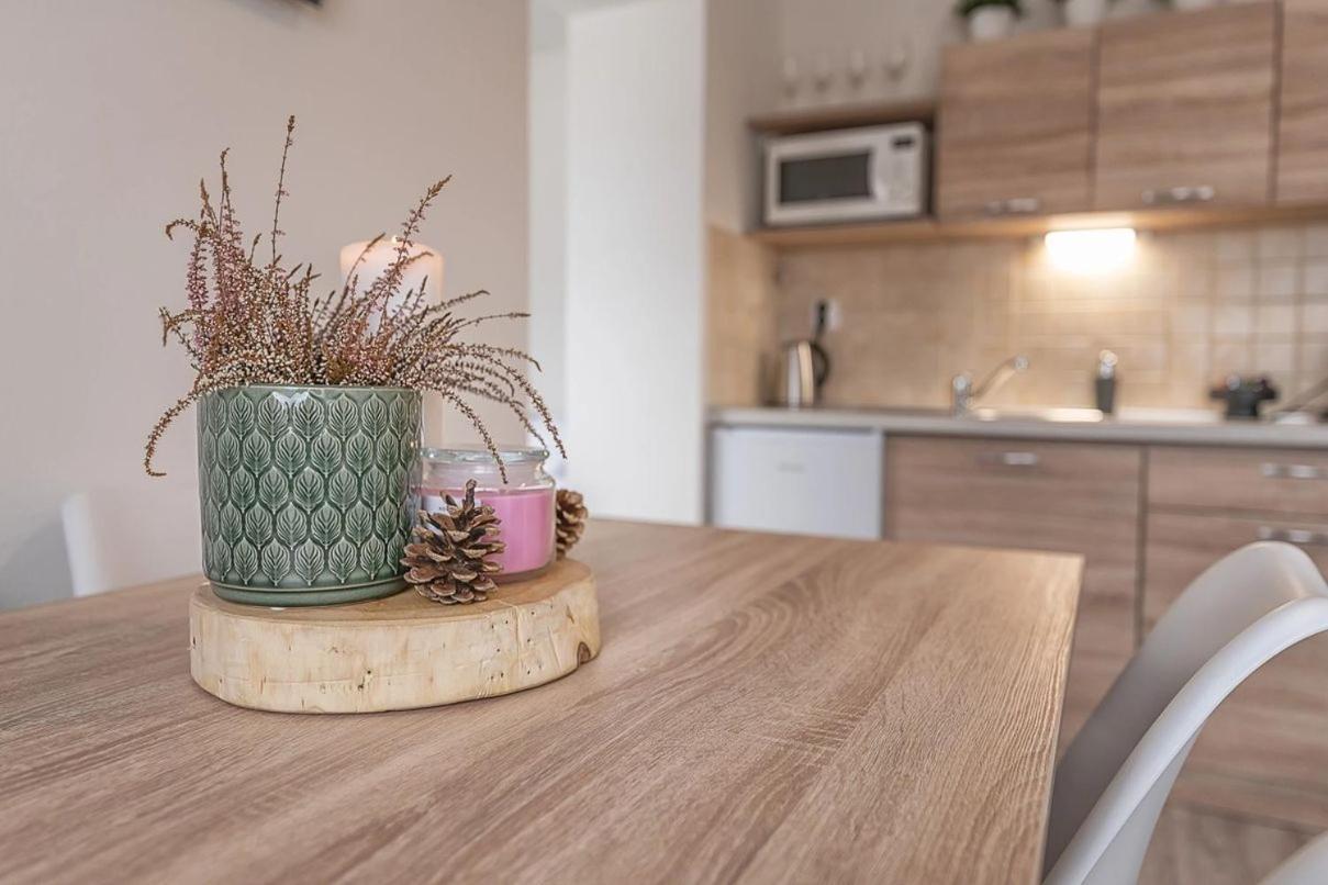 Apartmany Minata Liptowski Mikułasz Zewnętrze zdjęcie